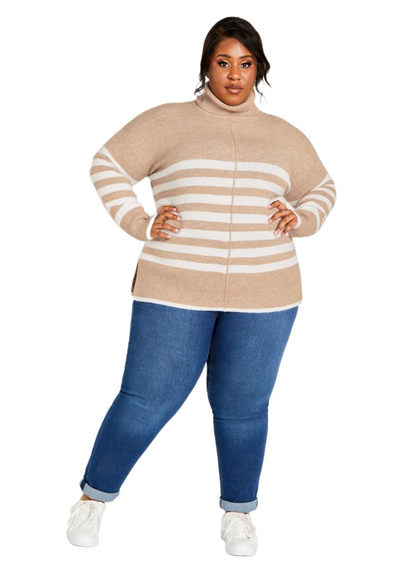 Women's Livvy Roll Neck Stripe Sweater