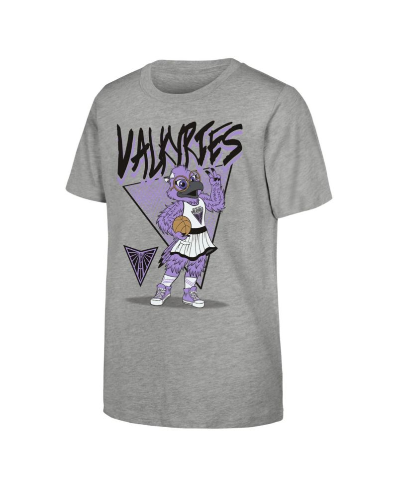 Big Boys and Girls Heather Gray Golden State Valkyries Team Mascot T-Shirt