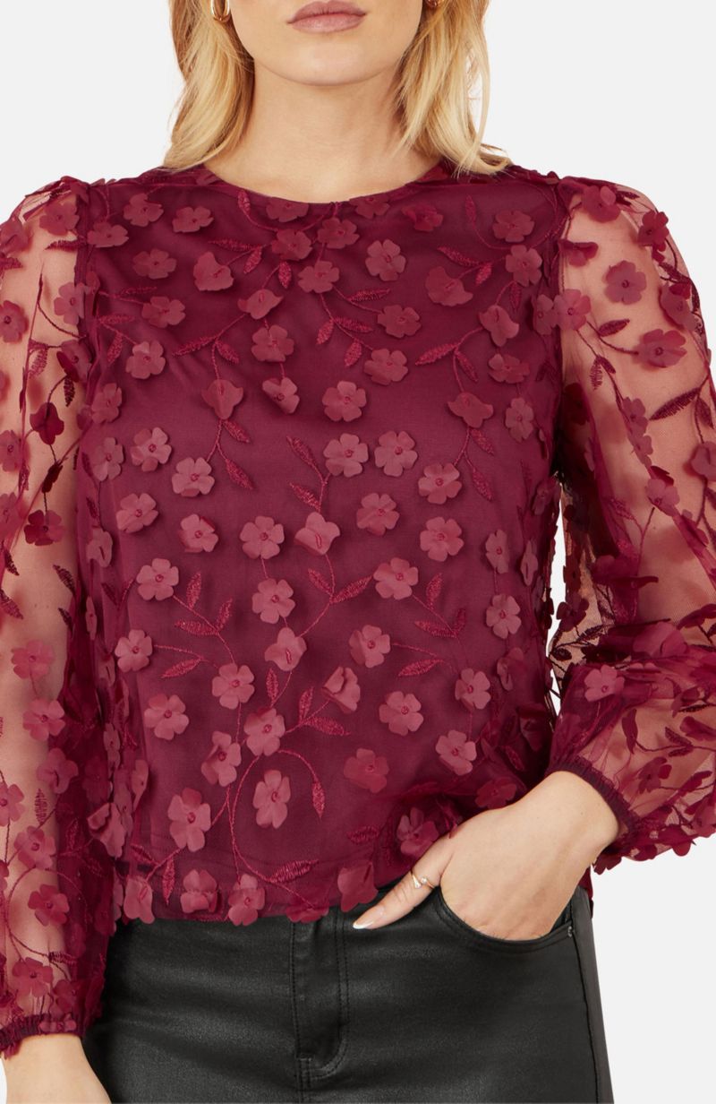 Women's Sheer Sleeve Applique Top