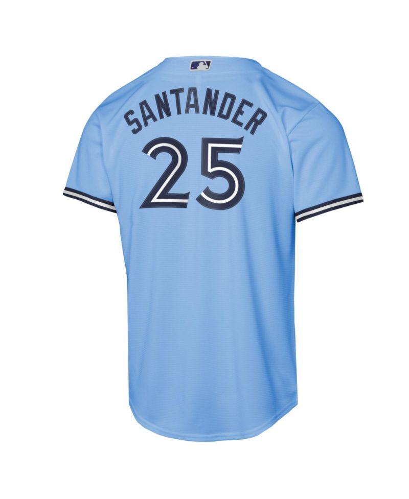Big Boys and Girls Anthony Santander Powder Blue Toronto Blue Jays Alternate Replica Jersey