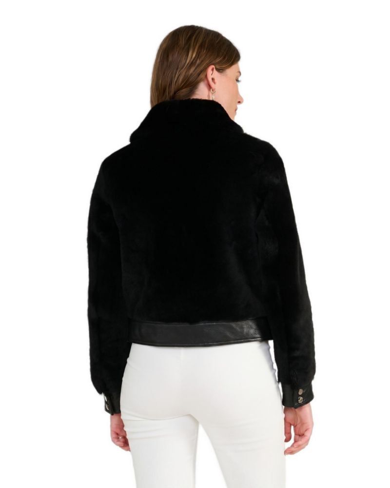 Women's Emery Leather and Shearling Jacket