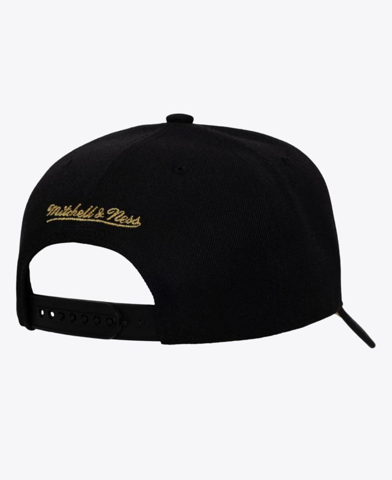 Men's Black Charlotte Hornets Hardwood Classics Pinned Gold Pro Crown Snapback Hat