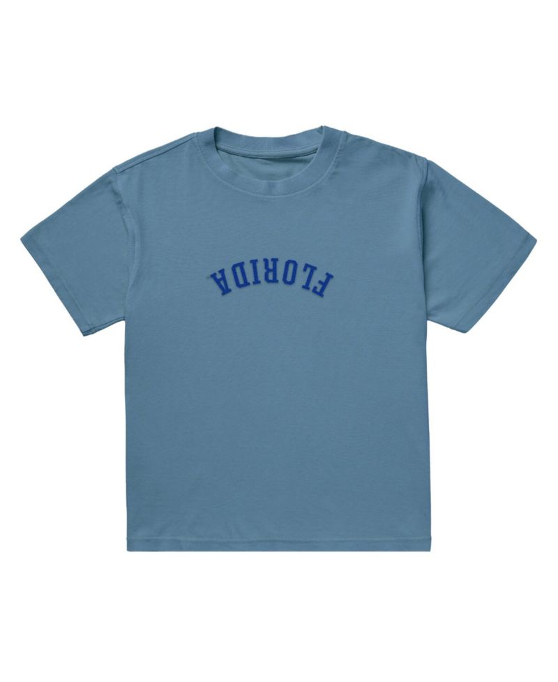 Men's Light Blue Florida Gators Upside Down Embroidered Vintage Heavyweight T-Shirt