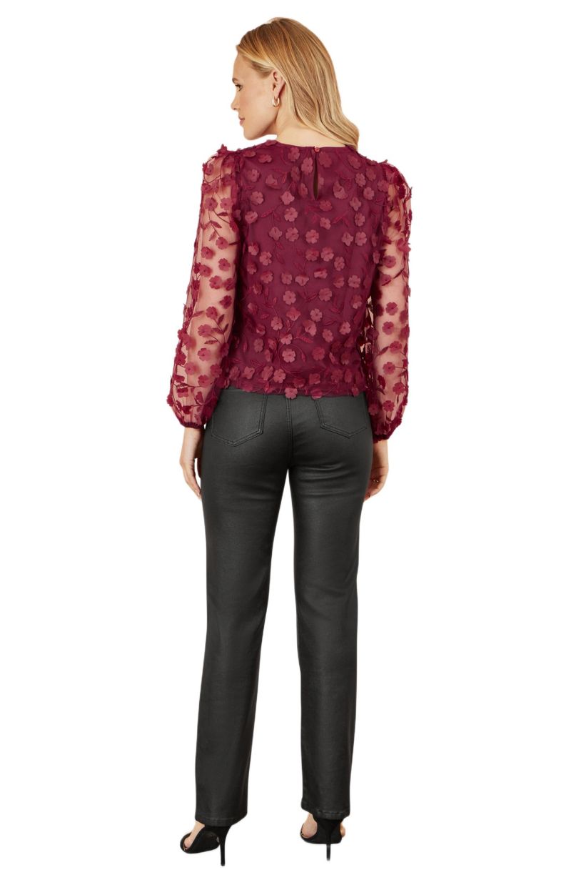 Women's Sheer Sleeve Applique Top