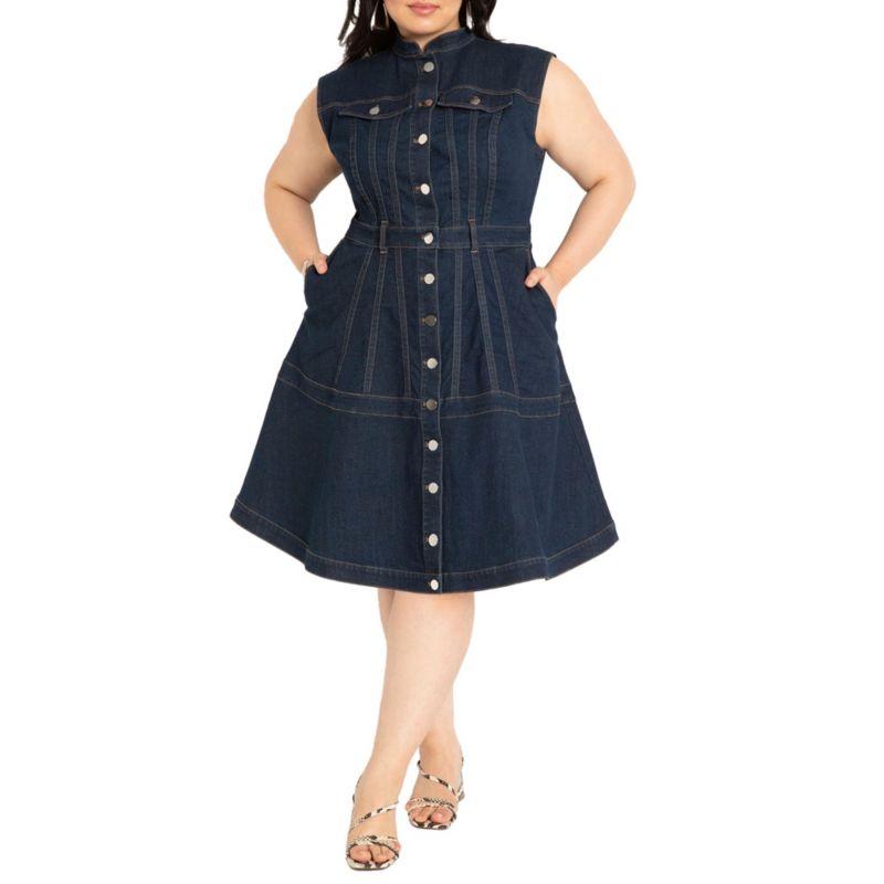 Women's Denim Fit and Flare Midi Dress