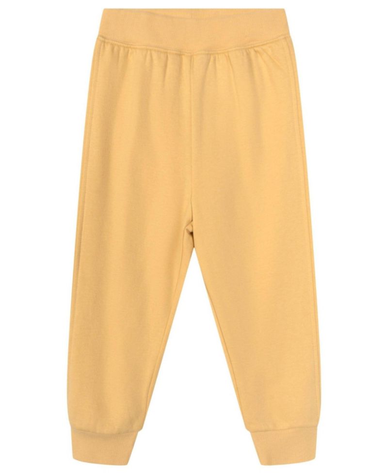 Boys' Fleece Sweatshirt and Plush Pants Set