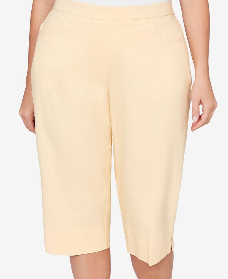 Plus Size Classic Pastel Millenium Allure Clamdigger Pants
