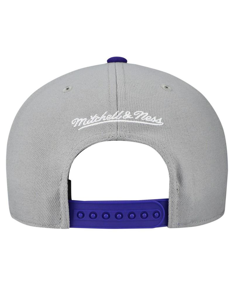 Men's and Women's Gray Tampa Bay Rays Basic Coop Pro Adjustable Hat