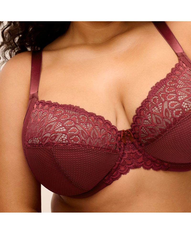 Tiernie Plus Size Plunge Bra EL303334