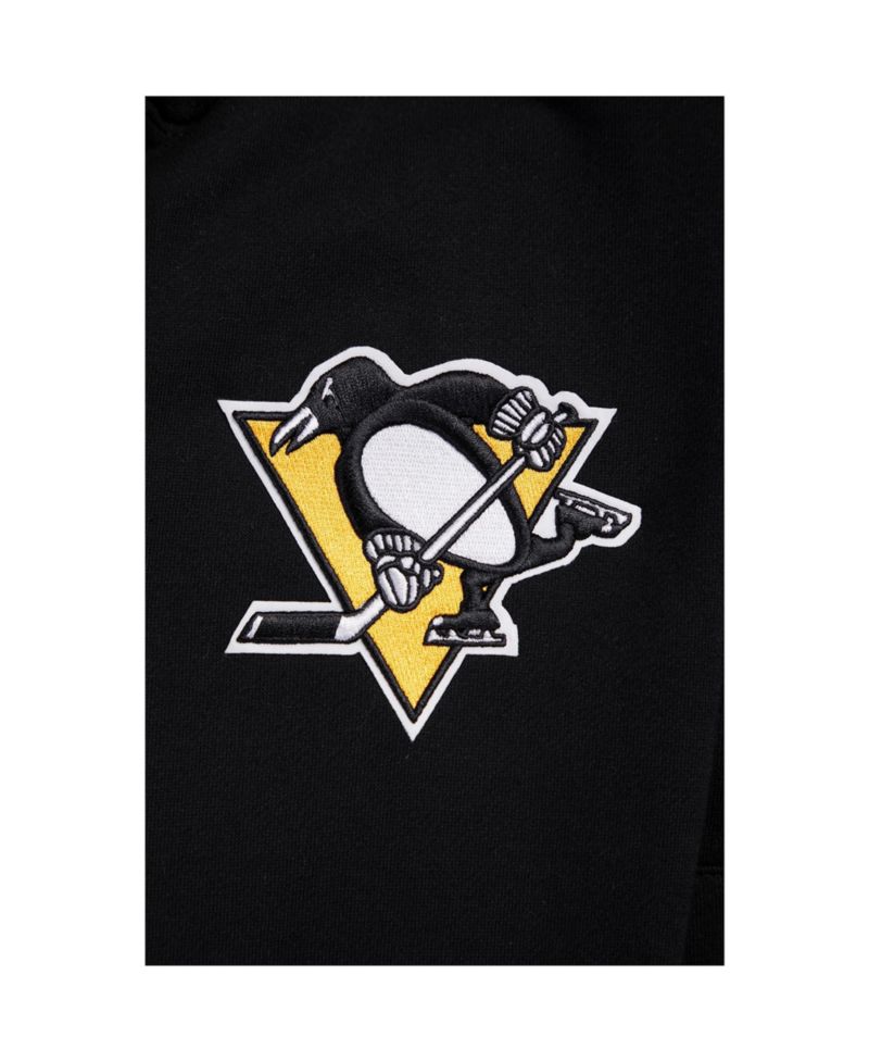 Men's Black Pittsburgh Penguins Paint the City Pullover Hoodie