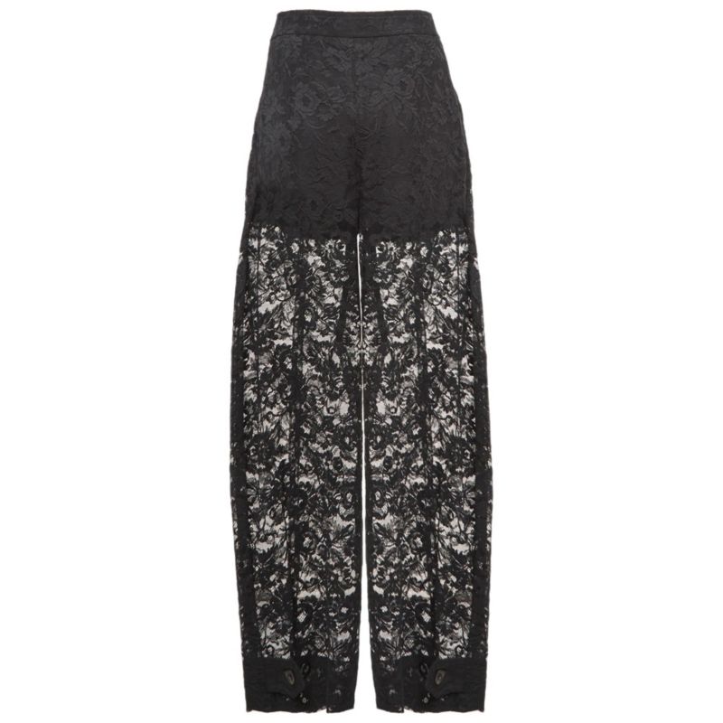 Women's Black Floral Pattern Lace Sheer Trousers
