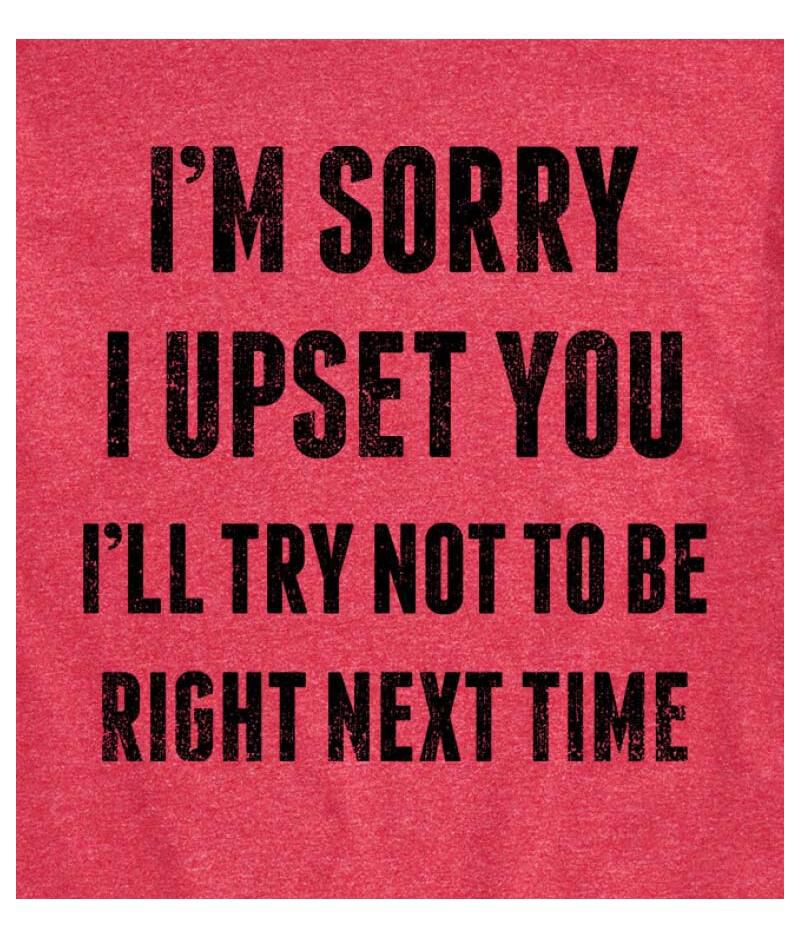 Hybrid Apparel Sorry I Upset You Men's Short Sleeve Tee