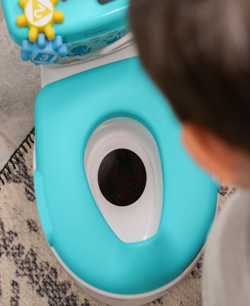 Baby Geared for Success 2-in-1 Potty Training System