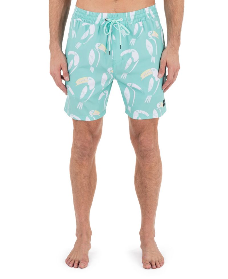 Men's Cannonball Volley Boardshorts
