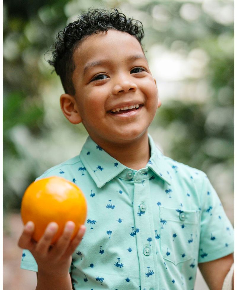 Little and Big Boys' Organic Short Sleeve Jersey Knit Shirt