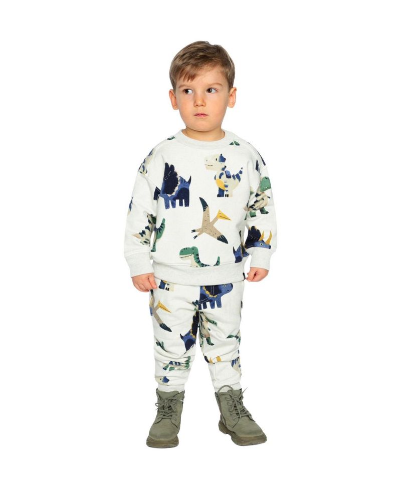 Baby Boy 12M-24M Fleece Sweatpants Dinosaur Print