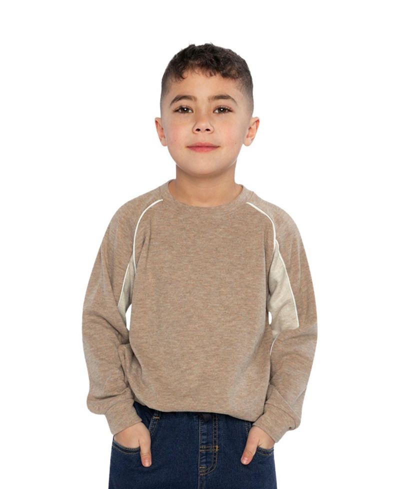 Little Boys 6-12 Brushed Jersey Top with Raglan Sleeves Taupe