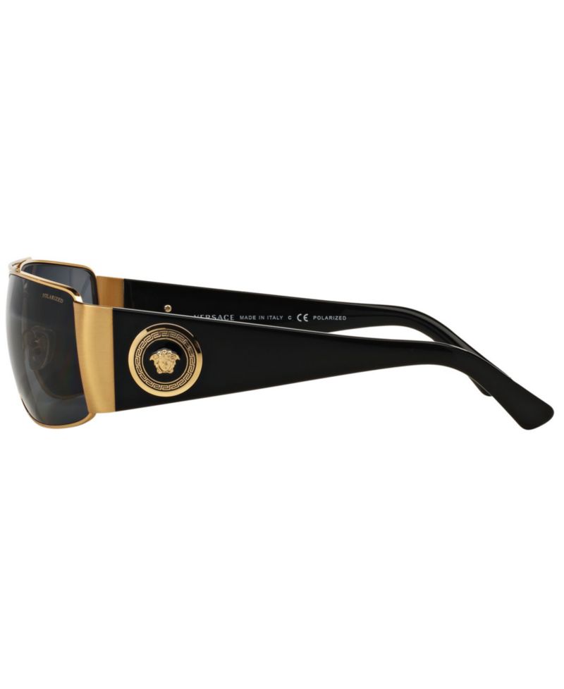 Polarized Sunglasses , VE2163
