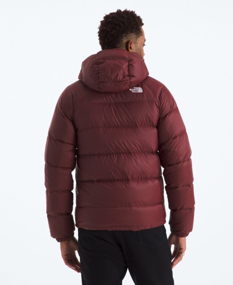 Men's Hydrenalite Down Hoodie