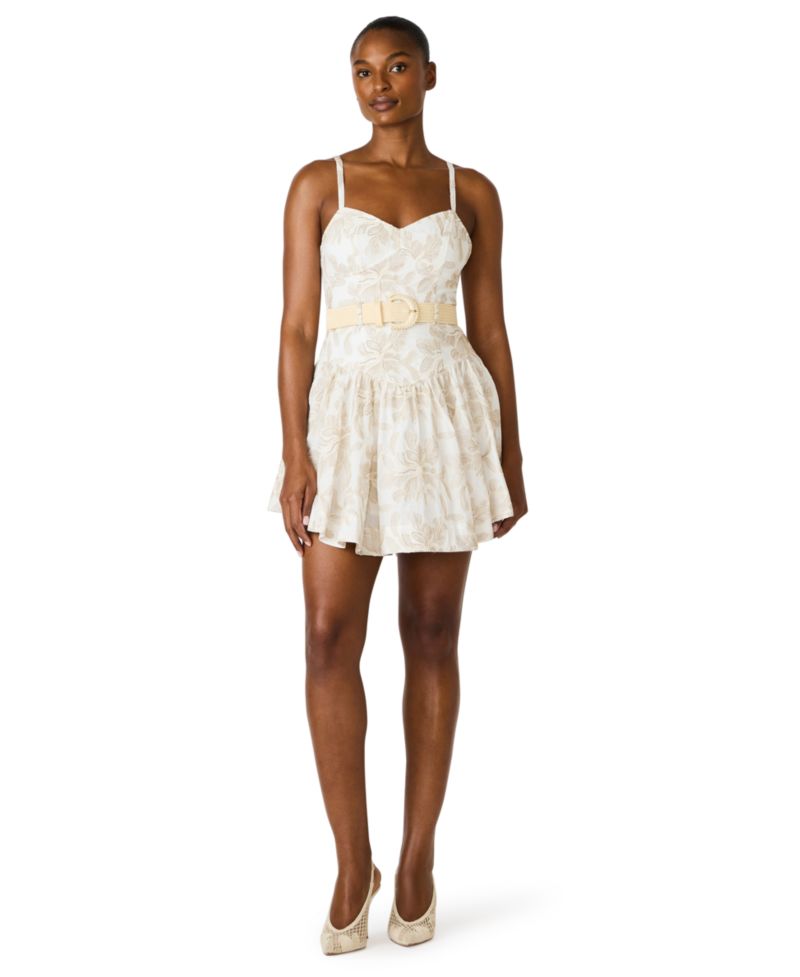Raffia Floral Embroidered Belted Mini Dress