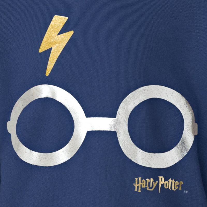 Little Boys Fleece Pullover Hoodie