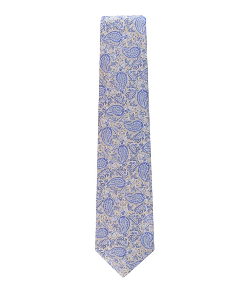 Men's Ramsey Paisley Silk Tie