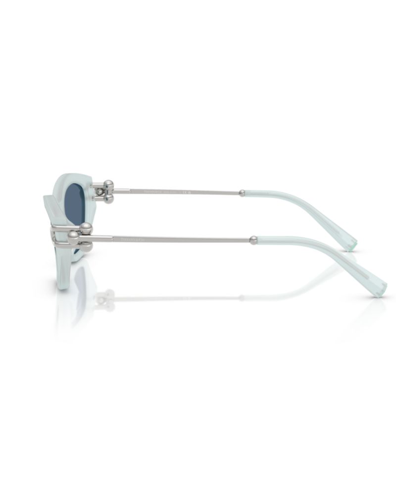 Women's Standard Sunglasses, TF4231U