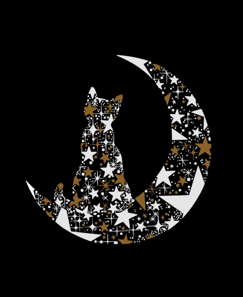 Women's Cat Sitting On Moon Word Art Crew Neck Sweatshirt