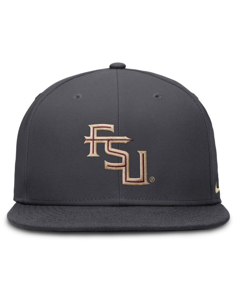 Men's Anthracite Florida State Seminoles Pro Dri-FIT Fitted Hat