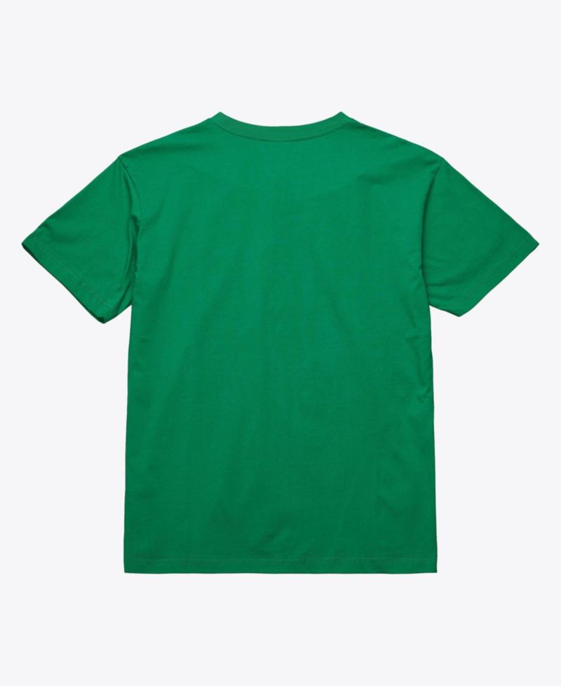 Men's and Women's Boston Celtics Hardwood Classics Screen Print T-Shirt
