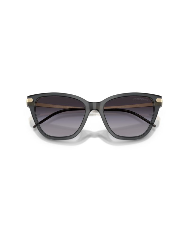 Women's Large Sunglasses, EA4251