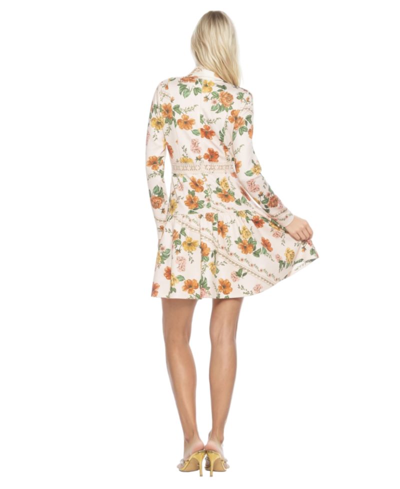 Women's Alexa Long Sleeves Dress
