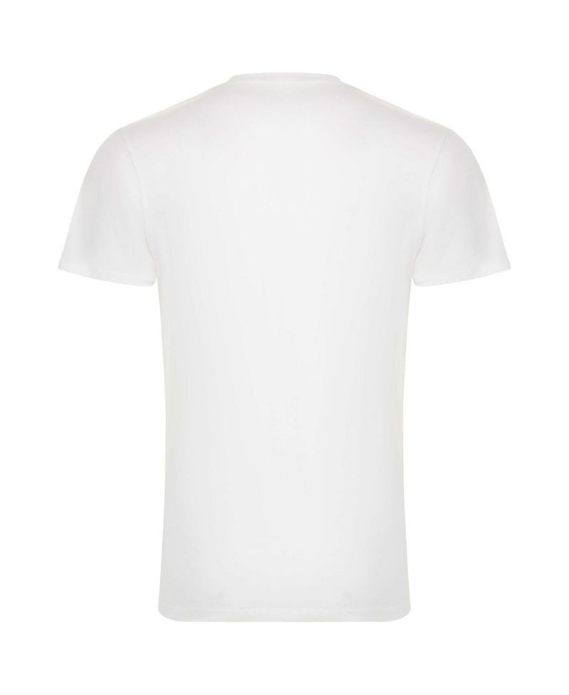 Men's and Women's White Chicago Bulls 1966 Collection City Flag Bingham T-shirt