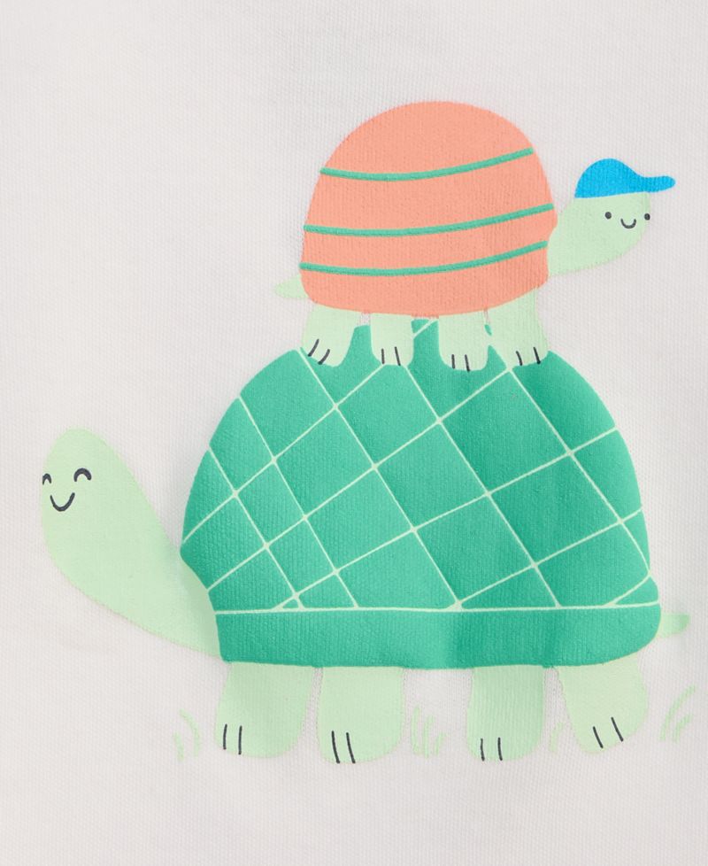 Baby Boys' 3M-24M Mix and Match Turtle Buddies T-Shirt