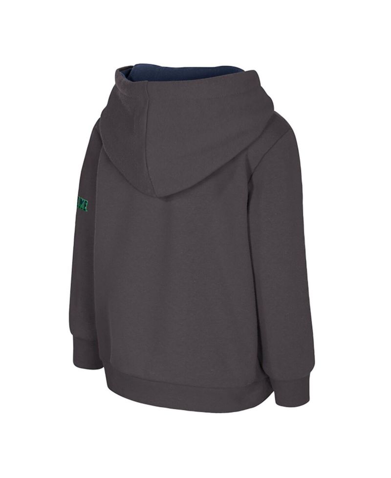 Toddler Charcoal Notre Dame Fighting Irish Big Logo Volume Fleece Pullover Hoodie