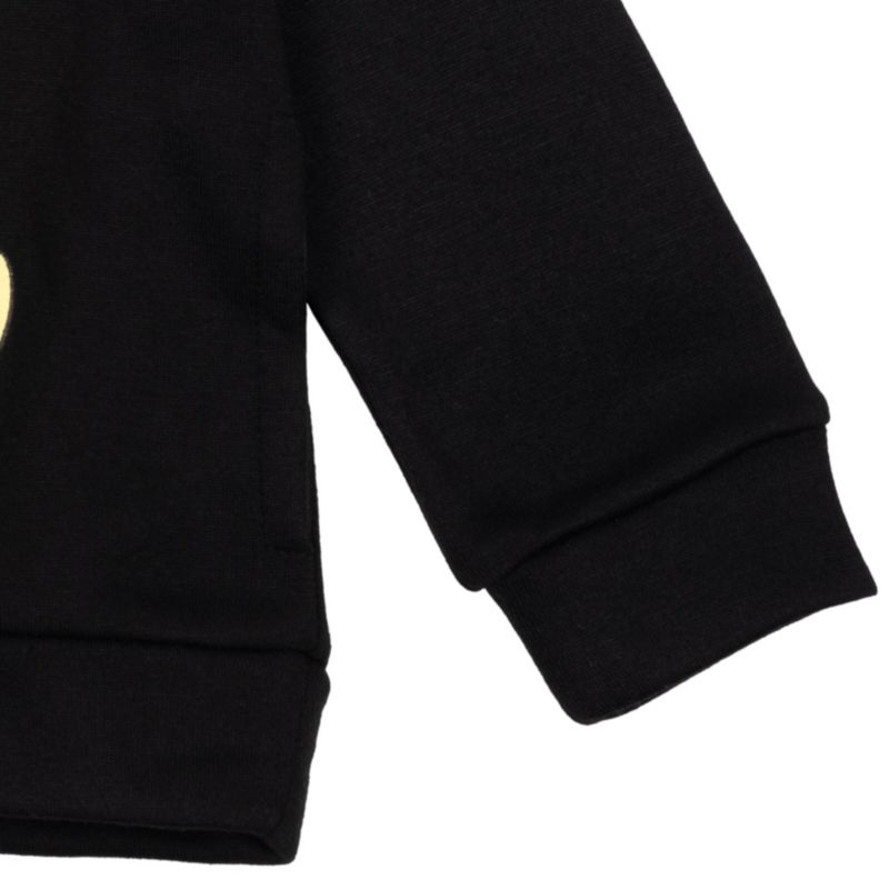Boys Warner Bros. Fleece Pullover Hoodie