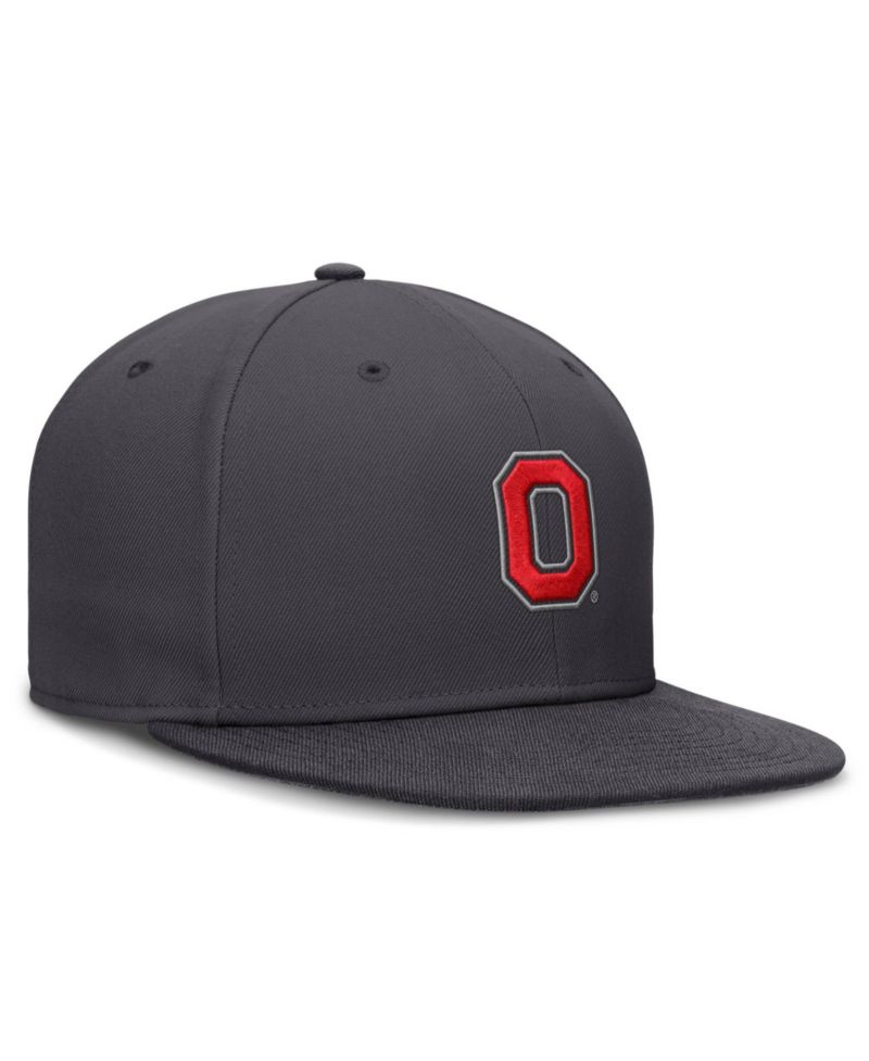 Men's Anthracite Ohio State Buckeyes Pro Dri-FIT Fitted Hat