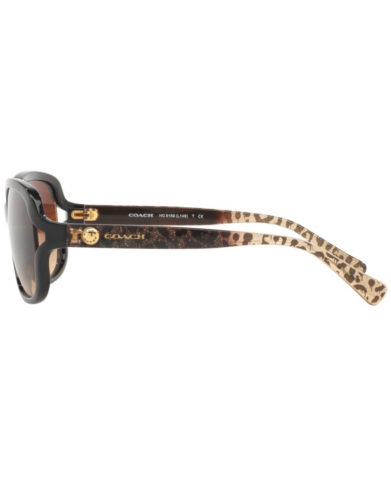 Sunglasses, HC8169