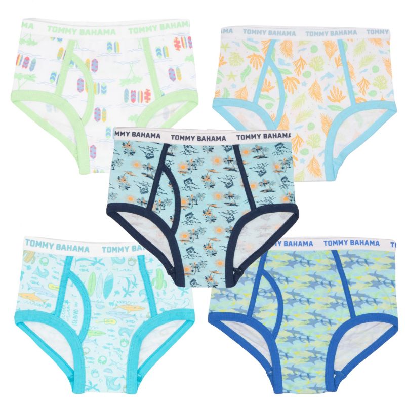 Little Boys 5-Pack Cotton Briefs Underwear