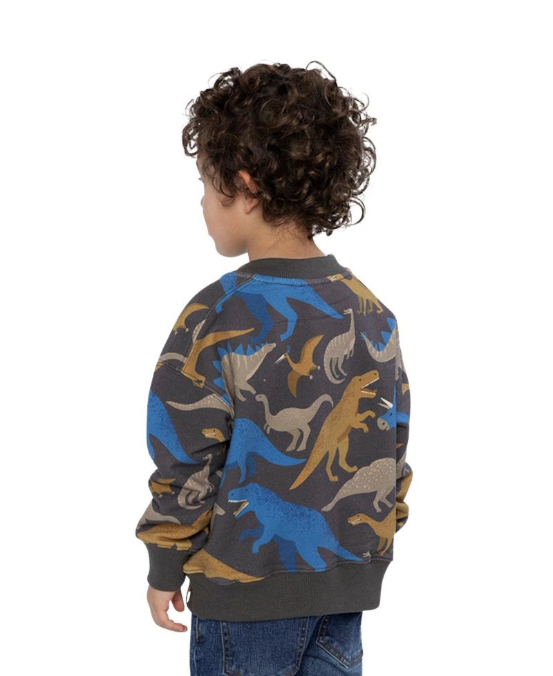 Little Boys (6-12) Fleece Sweatshirt