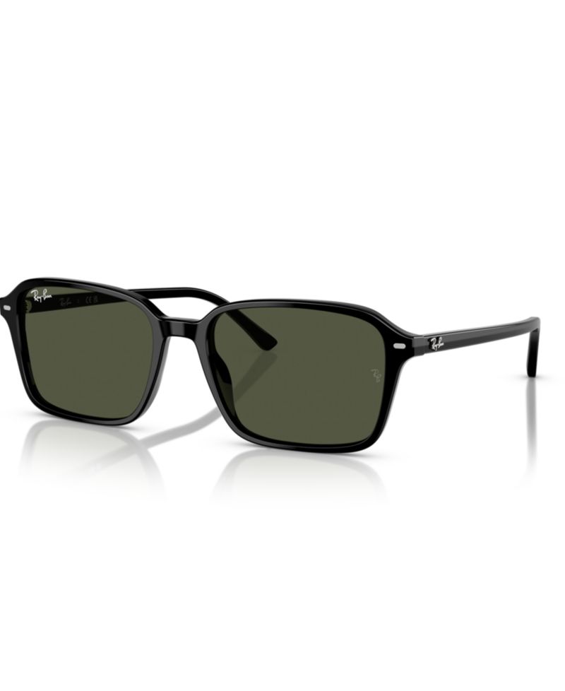 Unisex Polarized Raimond Sunglasses, RB2231F