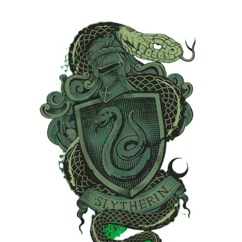 Men's Vintage Slytherin Shield Crest T Shirt