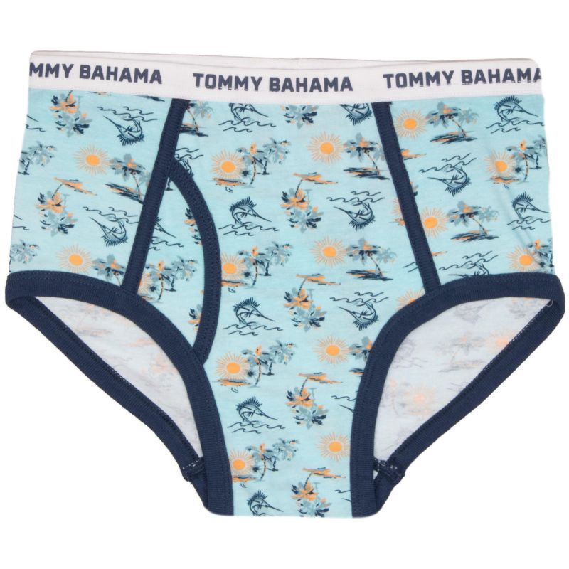 Little Boys 5-Pack Cotton Briefs Underwear