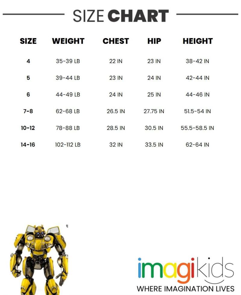 Boys Fleece Pullover Hoodie and Jogger Pants Outfit Set