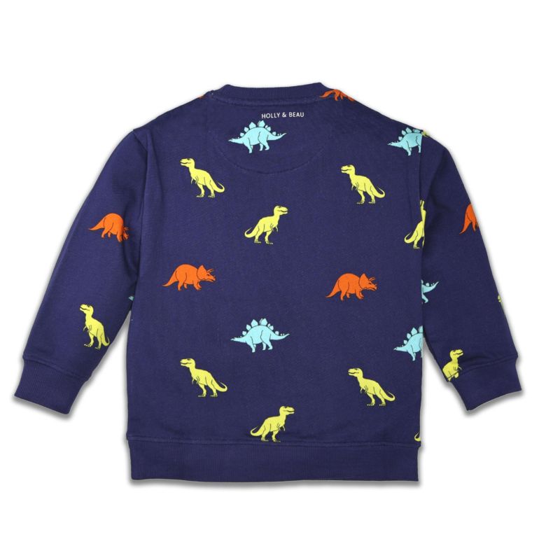 Little Boys Dinosaur Cotton Crew Neck Sweatshirt