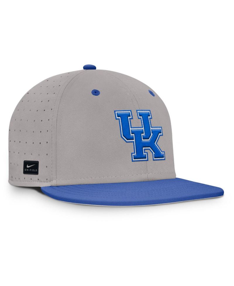 Men's Gray Kentucky Wildcats On-Field Dugout True Performance Fitted Hat