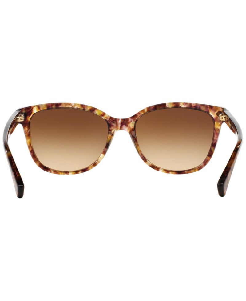 Sunglasses, HC8132