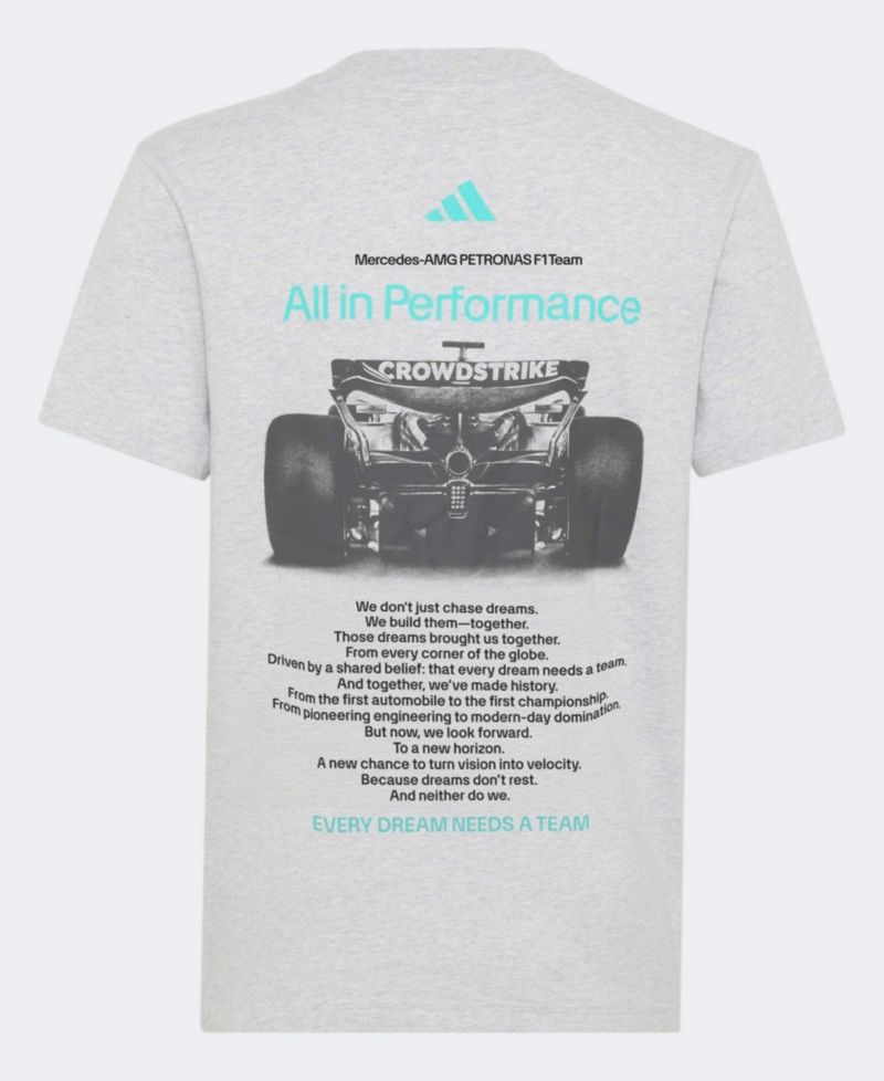 Big Boys and Girls Gray Mercedes-AMG Petronas F1 Team Graphic T-Shirt