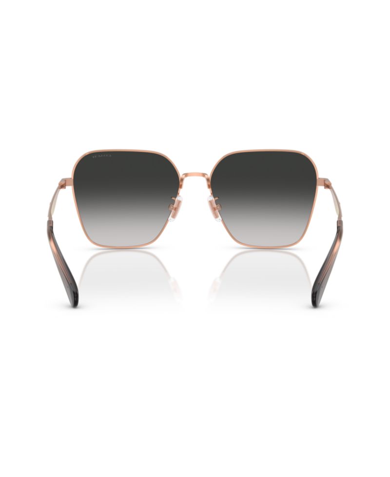 Women's Sunglasses, CW189 HC7168