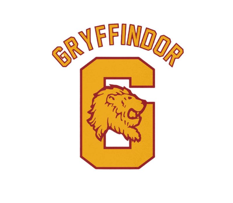 Men's Gryffindor Grey Long Sleeve Hoodie